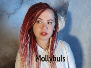 Mollybuls