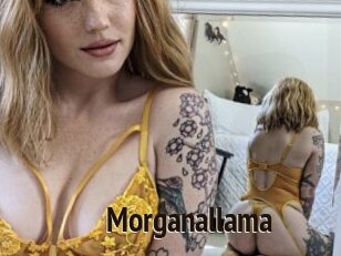 Morganallama