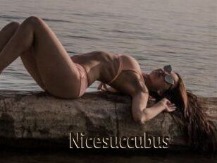 Nicesuccubus