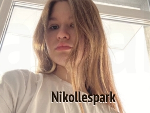 Nikollespark