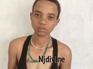 Njdivine