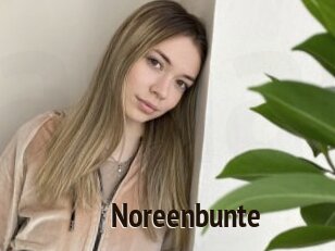 Noreenbunte