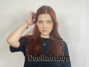 Odeliadrudge