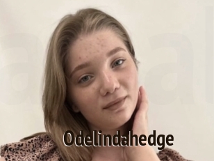 Odelindahedge