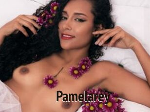 Pamelarey