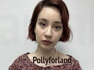 Pollyforland