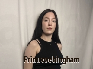 Primrosebingham