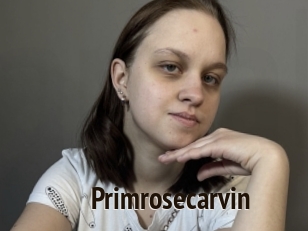 Primrosecarvin