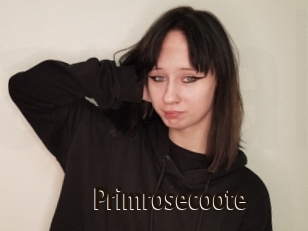 Primrosecoote
