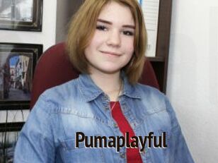 Pumaplayful