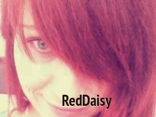 RedDaisy