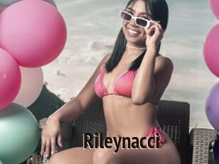 Rileynacci
