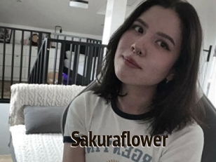 Sakuraflower
