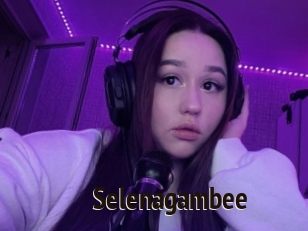 Selenagambee
