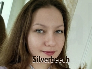 Silverbeech