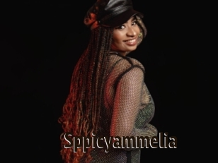 Sppicyammelia