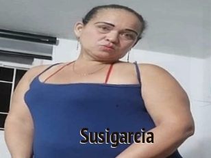 Susigarcia