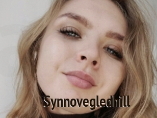Synnovegledhill