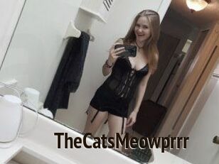 TheCatsMeowprrr