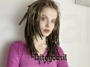 Taitegodsil