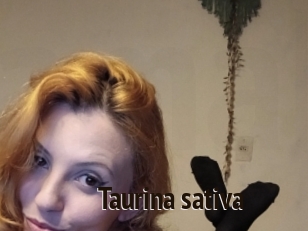 Taurina_sativa
