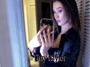 Tiny_taylor