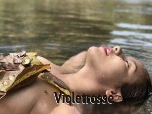 Violetrosse