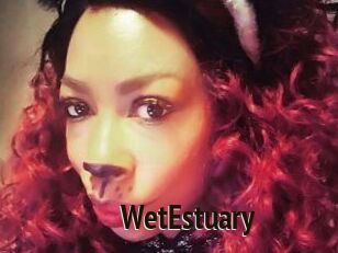 WetEstuary