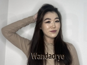 Wandadrye