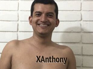 XAnthony