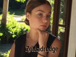 Zeldadrudge